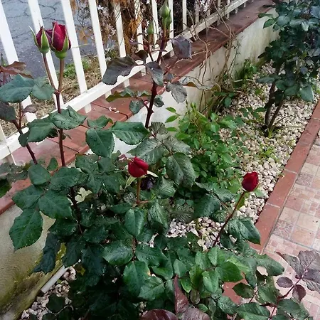 Hotel Eliseo Giardini-Naxos