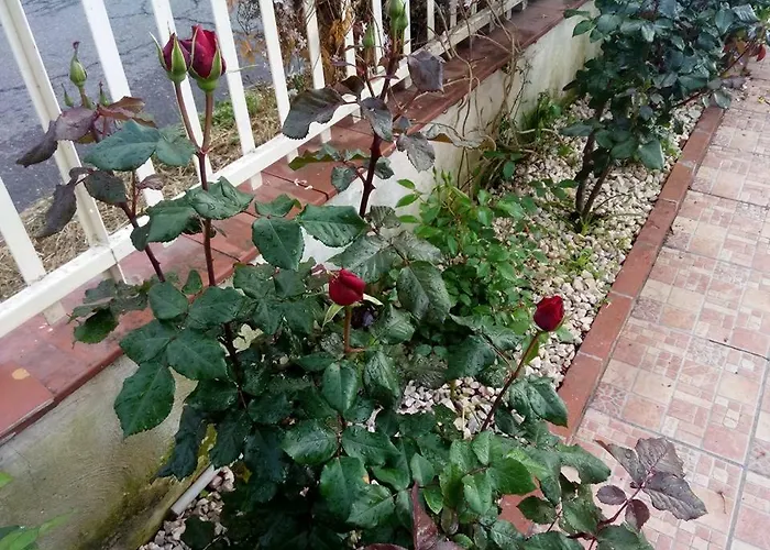 Hotel Eliseo Giardini-Naxos